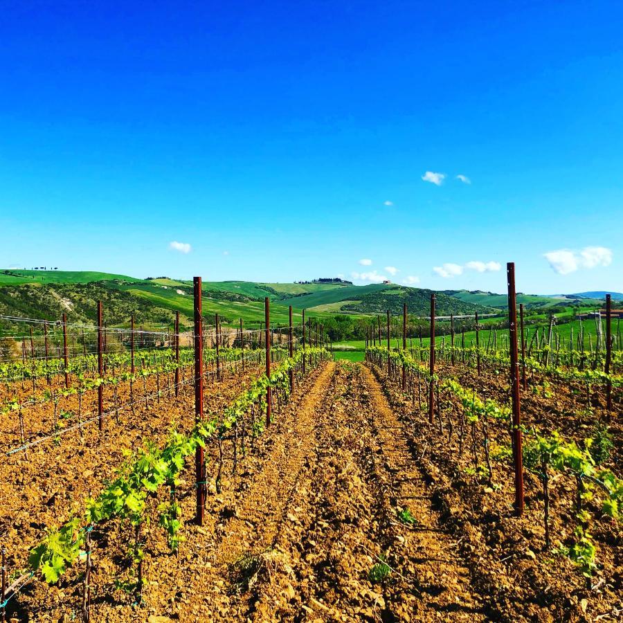 Willa Agriturismo Oria Bianca San Quirico dʼOrcia Zewnętrze zdjęcie