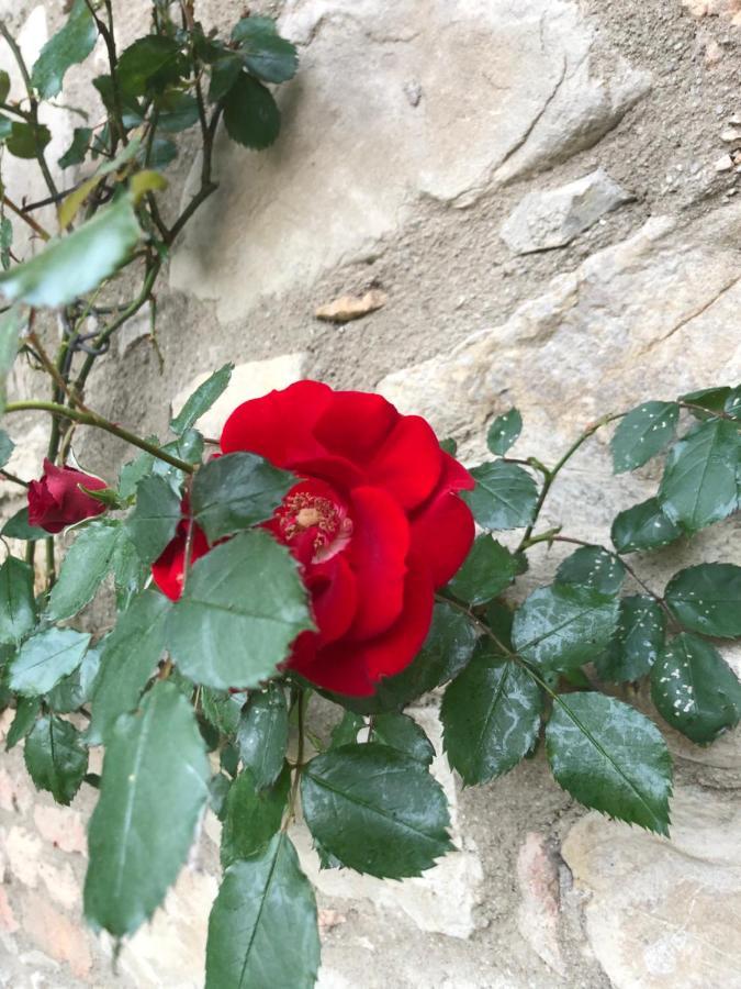 Willa Agriturismo Oria Bianca San Quirico dʼOrcia Zewnętrze zdjęcie
